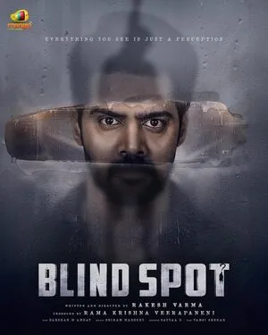 Blind Spot 2025 Hindi Dual Audio HD Poster Download - Filmyzilla