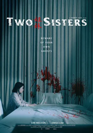 Two Sisters 2019 Hindi Dual Audio HD Poster Download - Filmyzilla