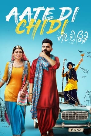 Aate di chidi (2018) Punjabi Movie [1GB] HD Poster Download - Filmyzilla