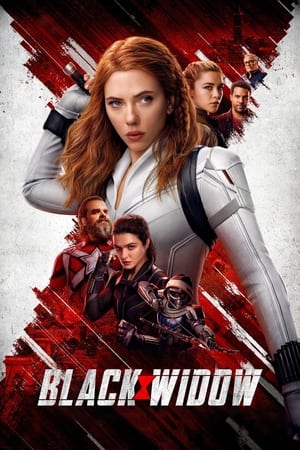 Black Widow (2021) Hindi Dual Audio 450MB HD Poster Download - Filmyzilla