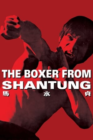 Boxer from Shantung (1972) Hindi Dual Audio [1.2GB] HD Poster Download - Filmyzilla