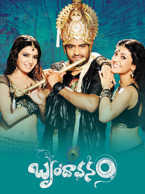 Brindavanam (The Super Khiladi) (2010) (Hindi – Telugu) Dual Audio [1.4GB] HD Poster Download - Filmyzilla