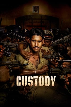 Custody 2023 Hindi (HQ-Dub) Dual Audio – HD Poster Download - Filmyzilla