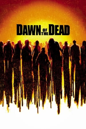 Dawn of the Dead (2004) Hindi Dual Audio 400MB HD Poster Download - Filmyzilla