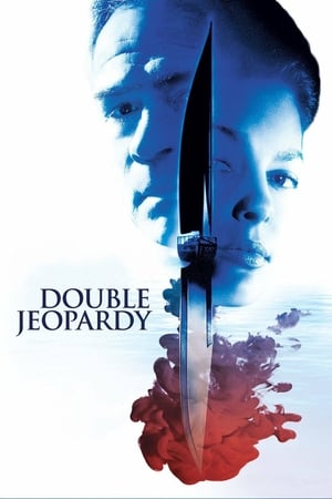 Double Jeopardy 1999 Hindi Dual Audio 350MB HD Poster Download - Filmyzilla