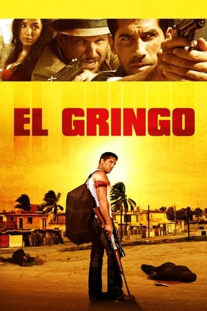 El Gringo (2012) Hindi Dual Audio [900MB] HD Poster Download - Filmyzilla