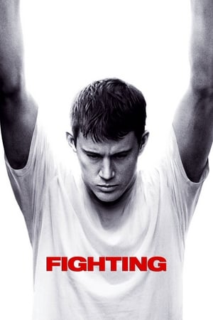 Fighting (2009) Hindi Dual Audio 450MB HD Poster Download - Filmyzilla