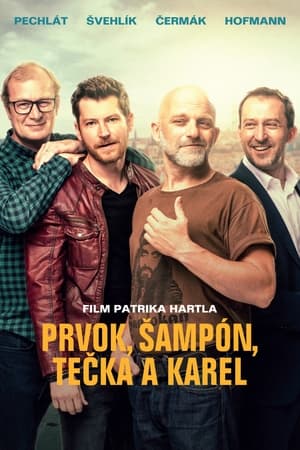 Friendship (2021) Hindi Movie – [400MB] HD Poster Download - Filmyzilla
