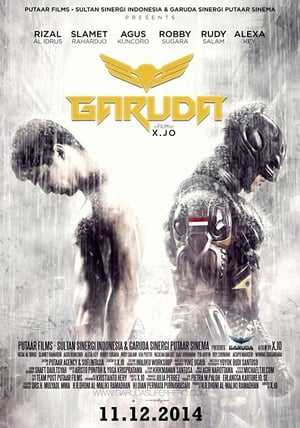 Garuda Superhero (2015) Hindi Dubbed [750MB] HD Poster Download - Filmyzilla