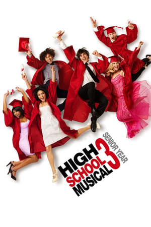 High School Musical 3 (2008) Hindi Dual Audio 350MB HD Poster Download - Filmyzilla