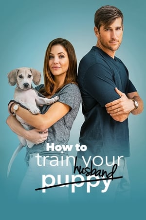 How to Train Your Husband 2018 Hindi Dual Audio 300MB HD Poster Download - Filmyzilla