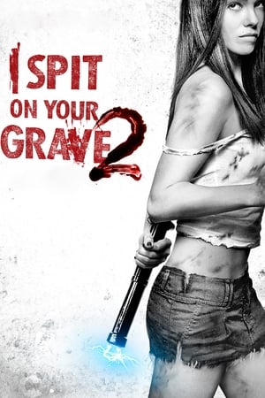 I Spit on Your Grave 2 (2013) Hindi Dual Audio – HD Poster Download - Filmyzilla