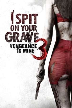I Spit on Your Grave: Vengeance Is Mine (2015) Hindi Dual Audio – HD Poster Download - Filmyzilla