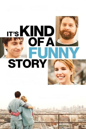 It's Kind of a Funny Story (2010) Hindi Dual Audio [950MB] ESubs HD Poster Download - Filmyzilla