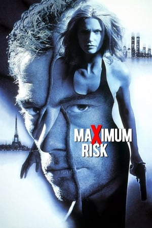 Maximum Risk (1996) Hindi Dual Audio [850MB] HD Poster Download - Filmyzilla