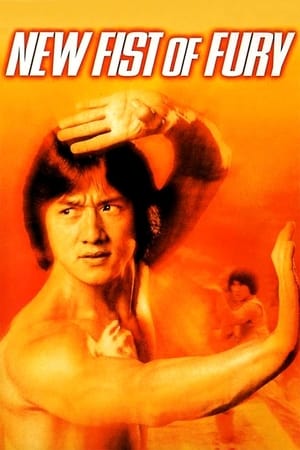 New Fists of Fury 1976 Dual Audio Hindi 360MB HD Poster Download - Filmyzilla