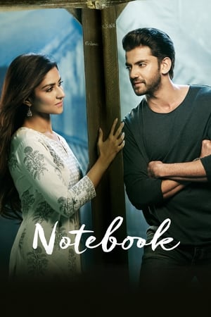 Notebook (2019) Hindi Movie [1.4GB] HD Poster Download - Filmyzilla