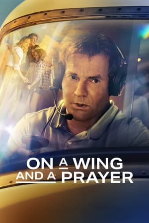 On a Wing and a Prayer 2023 Hindi Dual Audio – HD Poster Download - Filmyzilla