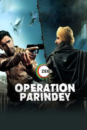 Operation Parindey 2020 Hindi Movie [500MB] HD Poster Download - Filmyzilla