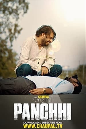 Panchhi (2021) Punjabi Movie [750MB] HD Poster Download - Filmyzilla
