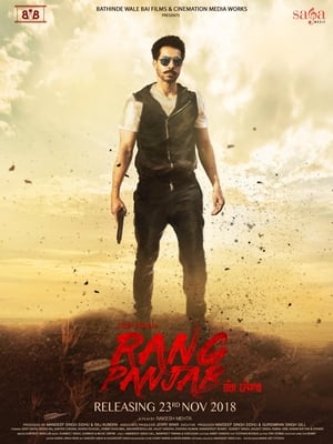 Rang Panjab (2018) Punjabi Movie Pre- [700MB] HD Poster Download - Filmyzilla