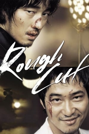 Rough Cut (2008) Hindi Dual Audio 400MB HD Poster Download - Filmyzilla