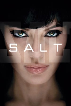 Salt (2010) Hindi Dual Audio 300MB HD Poster Download - Filmyzilla