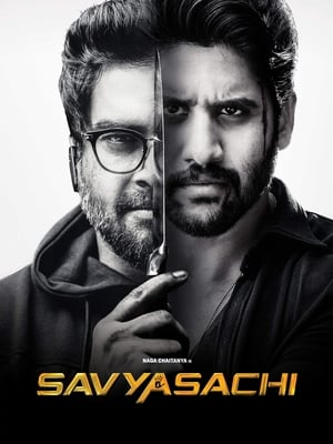 Savyasachi (2018) Hindi Dual Audio 450MB HD Poster Download - Filmyzilla