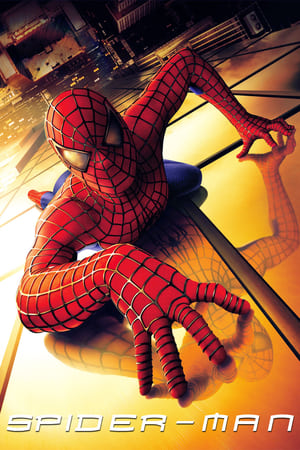 Spider-Man (2002) Hindi Dual Audio 370MB HD Poster Download - Filmyzilla