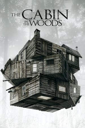 The Cabin in the Woods 2012 Dual Audio Hindi 300MB ESubs HD Poster Download - Filmyzilla