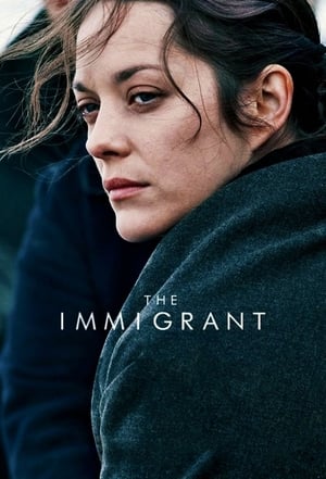 The Immigrant (2013) Hindi Dual Audio 300MB HD Poster Download - Filmyzilla