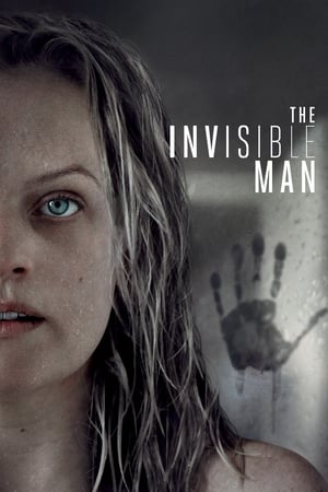 The Invisible Man (2020) Hindi (ORG) Dual Audio 400MB HD Poster Download - Filmyzilla
