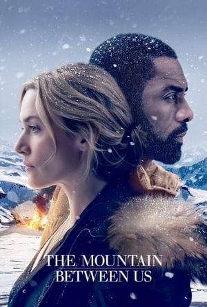 The Mountain Between Us 2017 Dual Audio Hindi [180MB] HD Poster Download - Filmyzilla