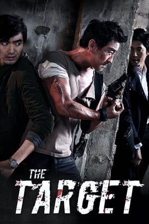 The Target (2014) Hindi Dual Audio [900MB] HD Poster Download - Filmyzilla