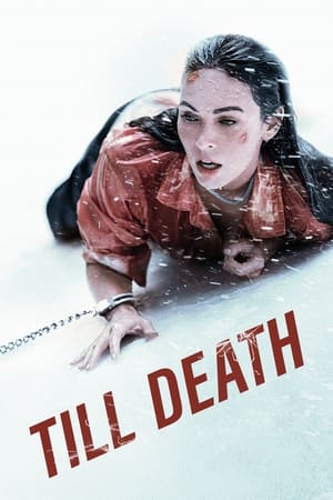 Till Death (2021) Hindi Dual Audio [750MB] HD Poster Download - Filmyzilla