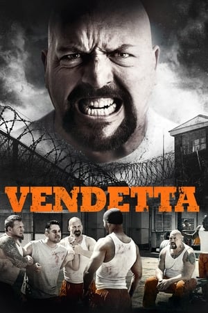 Vendetta 2015 Hindi Dual Audio 300MB HD Poster Download - Filmyzilla