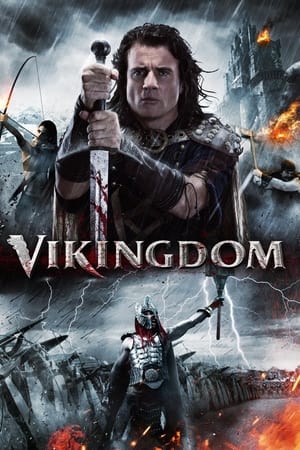 Vikingdom 2013 Hindi Dual Audio 380MB HD Poster Download - Filmyzilla
