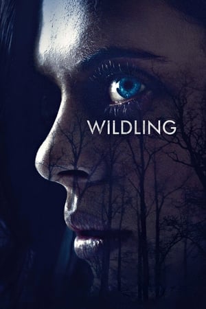 Wildling (2018) Movie (English) [700MB] HD Poster Download - Filmyzilla